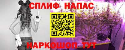 Альфа ПВП Краснокаменск