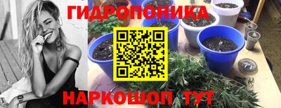 трава Краснодар
