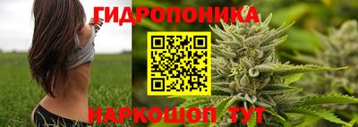 Альфа ПВП Краснокаменск