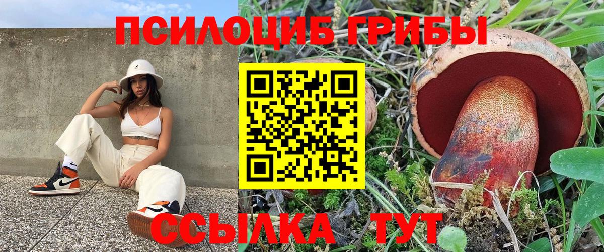 Псилоцибиновые грибы GOLDEN TEACHER Камышин