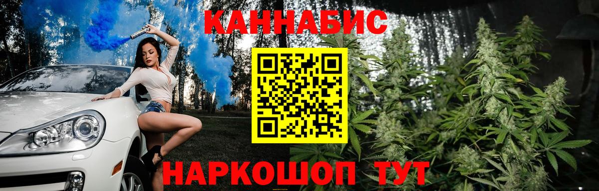 Камышин  Шишки марихуана тримм  Конопля White Widow  Вход с VPN  Каннабис семена 